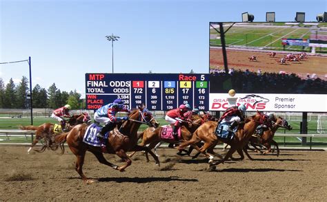 Emerald Downs - Hey rockers! 🤘🎸 Are you ready for a night of high ...