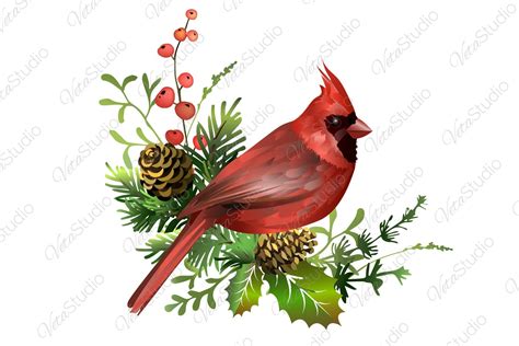 cardinal clip art free #5972921 | Clipart Library