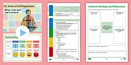 Areas of Regulation Poster (teacher made) - Twinkl