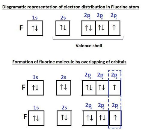 Formation of f2 molecule on basis of overlapping of orbitals - Brainly.in