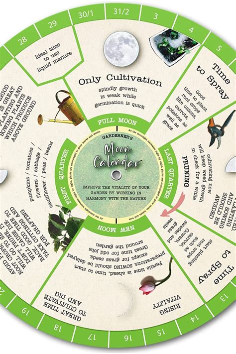 Gardening lunar calendar 2020 planting by the moon – Artofit