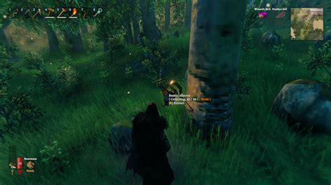 Rezultat imagine pentru Valheim Mod Installation