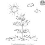 Fun Learning Pages Science for Kids 的图像结果