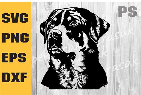 Rottweiler Svg, Dog Svg File Cricut Illustration par ILukkystore · Creative Fabrica