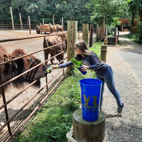 Yellow River Wildlife Sanctuary, Lilburn, GA: Information, Tickets and ...