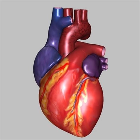 Image result for Heart with Name Using Python