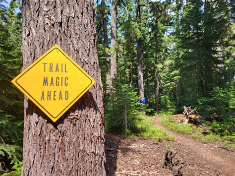 High, Low, Buffalo - Hiking the PCT in Oregon - The Trek