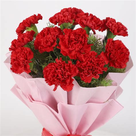 Online Ravishing 12 Red Carnation Bouquet Gift Delivery in Singapore ...