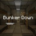 Image result for Minecraft Java Bunker Down
