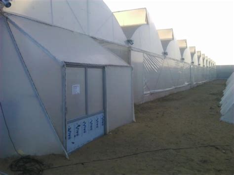 Green Poly House - Driplock Diffused Greenhouse Covering Film ...