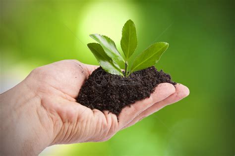 人类环境 的图像结果