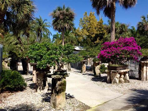 7th Annual Bonsai Ball - Heathcote Botanical Gardens