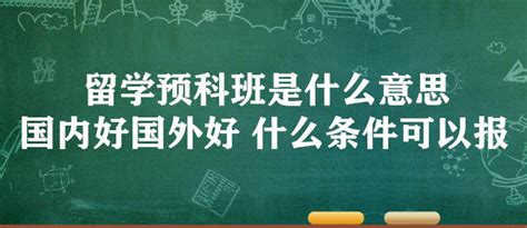 留学预科班是什么意思 国内好国外好 什么条件可以报