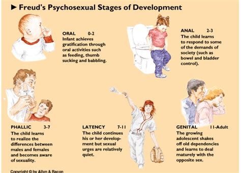 Freuds Psychosexual Stages Of Development