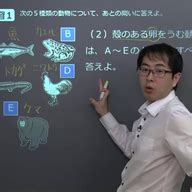Image result for SQL Model Python Logo