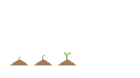 Seed Growing Cartoon 的图像结果