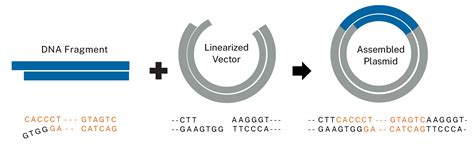 Cloning Method 的图像结果