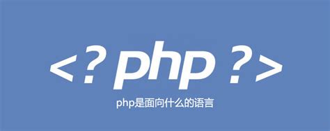 php是面向什么的语言-PHP问题-PHP中文网
