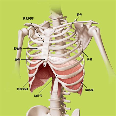 Image result for Structures of Pattern
