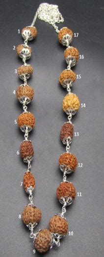 Buy Indonesia Rudraksha Japamala Online | Indonesian Rudraksha Beads ...