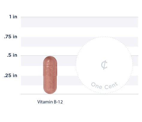 Vitamin B-12 | Red Blood Cell Production | Persona Nutrition