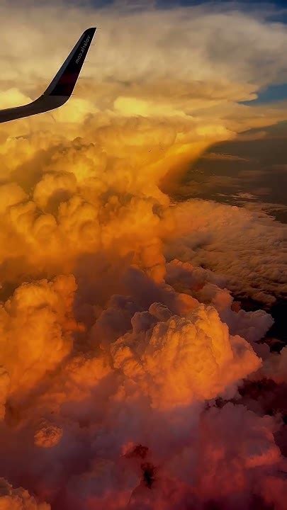 Incredible view ❤️ #trending #shorts #short #views - YouTube