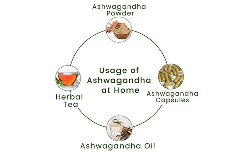 Health Benefits You Need To Know About Ashwagandha