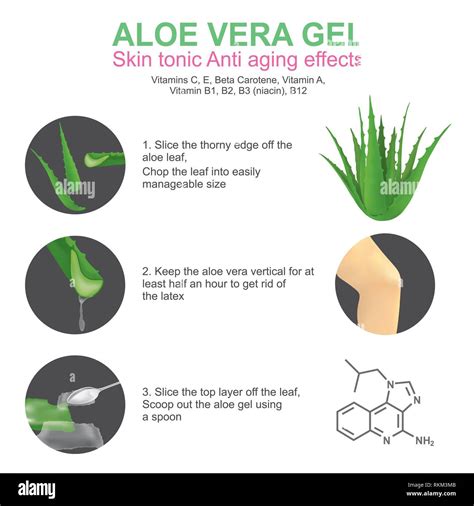 Genus aloe hi-res stock photography and images - Alamy
