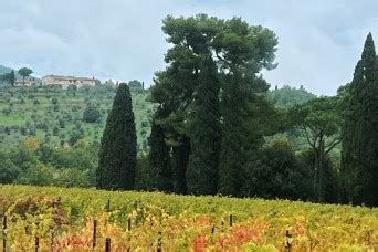 The Garrison Outlook