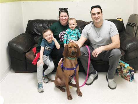 Summer Open House at Save the Animals Foundation | Grady Veterinary ...