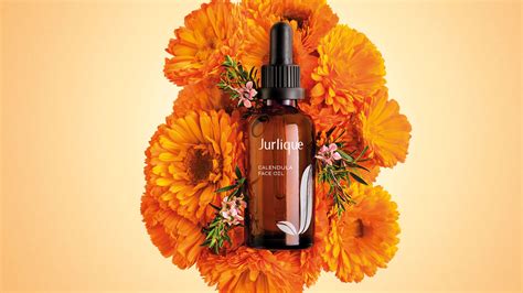 UNCOVERING THE SECRETS OF OUR SKIN-SAVING FACE OIL – Jurlique UK