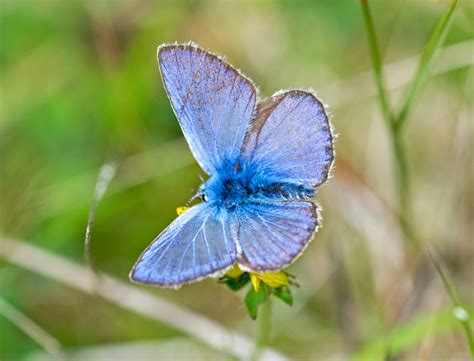 Image result for Common Core Grade 3 Math