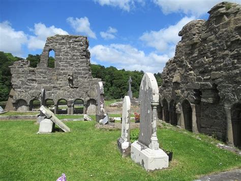 Abbey ruins - Reviews, Photos - Abbey of the Four Masters (The Abbey ...
