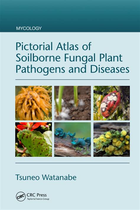 Buy Pictorial Atlas of Soilborne Fungal Pathogens and Diseases Online ...
