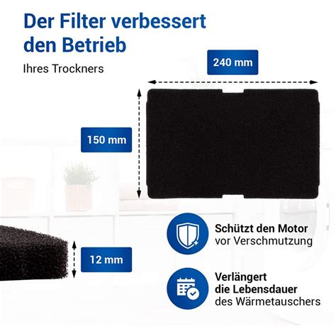 Buy 10 PC Dryer Filter for Dryer Replacement for 2964840100 Fluff ...