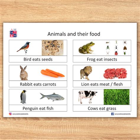 Animal Food 的图像结果