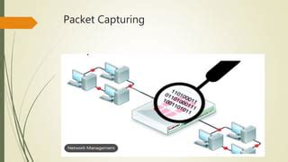 Image result for Network Packet Analysis