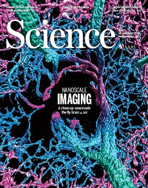 Science杂志封面 的图像结果