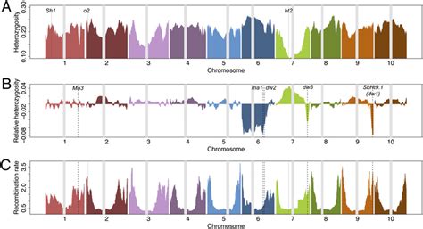 Genome Variation 的图像结果