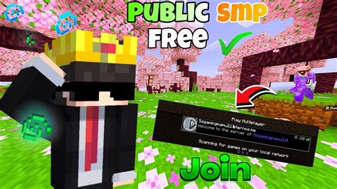 Image result for Java SMP Server Port