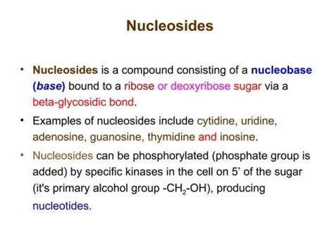 Image result for RNA Replication