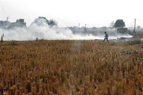 Stubble Burning Is So Bad In Punjab, That 84% Of Population Is Having ...