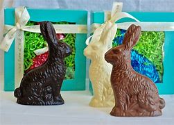 Image result for Cute Chocolate Bunny