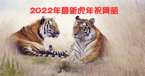 2022虎年最新吉祥話、虎年祝賀詞、虎年祝賀語、虎年最新諧音梗祝福語 - 生活大小事