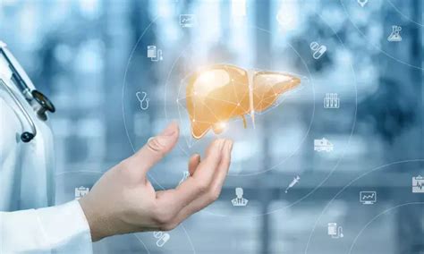 Special perfusion machine may preserve donated liver for longer time ...