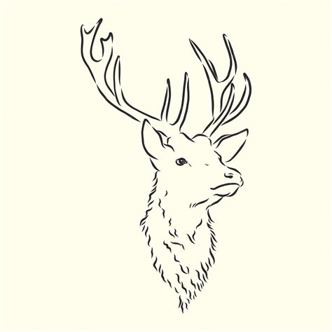 Deer Head Outline
