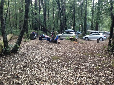 Wildcat Campground in Hendy Woods State Park, California: Reviews and ...