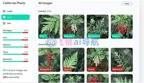 Tutorial Lobe 的图像结果