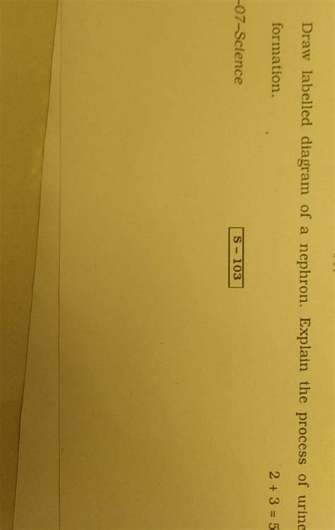 Draw labelled diagram of a nephron. Explain the process of urine formatio..