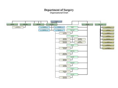Who in Organization Chart 的图像结果